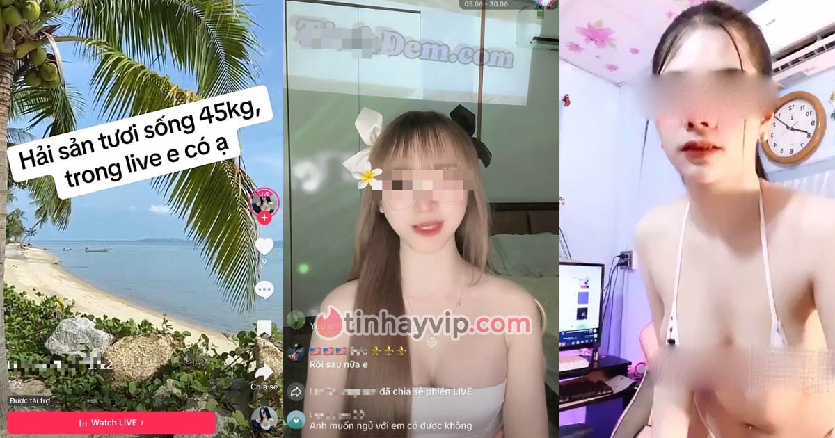 Tiktok bị chỉ trích tiếp tay cho dịch vụ mại dâm công khai