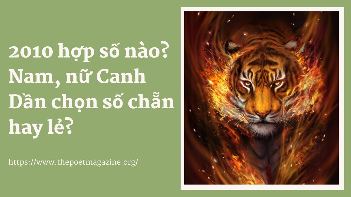 Tìm hiểu 2010 hợp số nào, Canh Dần kỵ số nào?