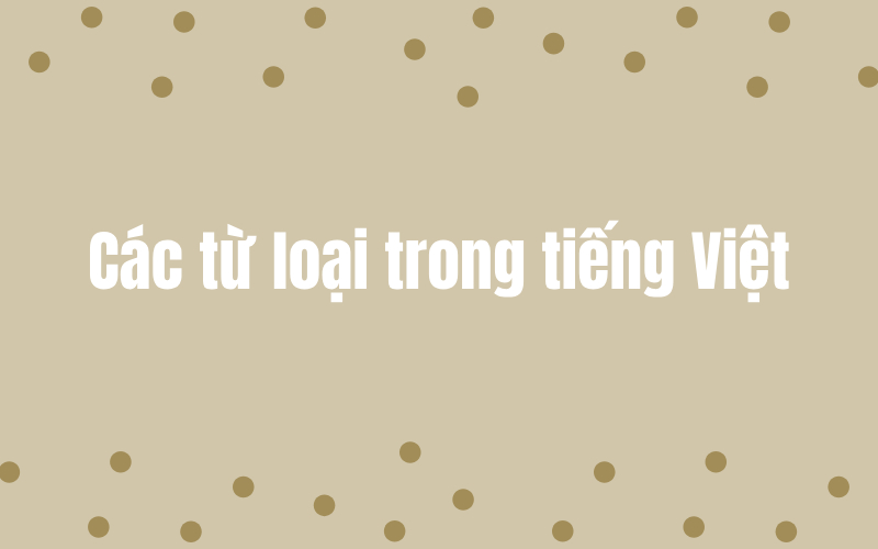 Tìm hiểu các loại từ trong tiếng Việt (Khái niệm và cách nhận biết)