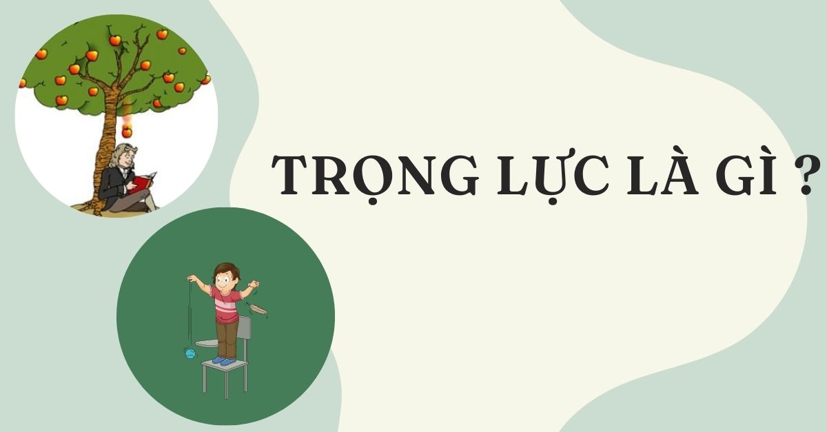 Tìm hiểu trọng lực là gì? Công thức tính trọng lực là gì?