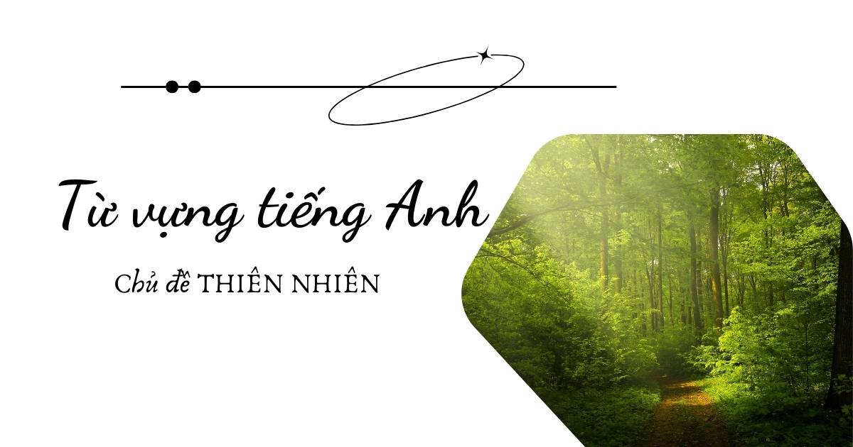 Tổng hợp 100+ từ vựng tiếng Anh về thiên nhiên theo chủ đề phổ biến nhất