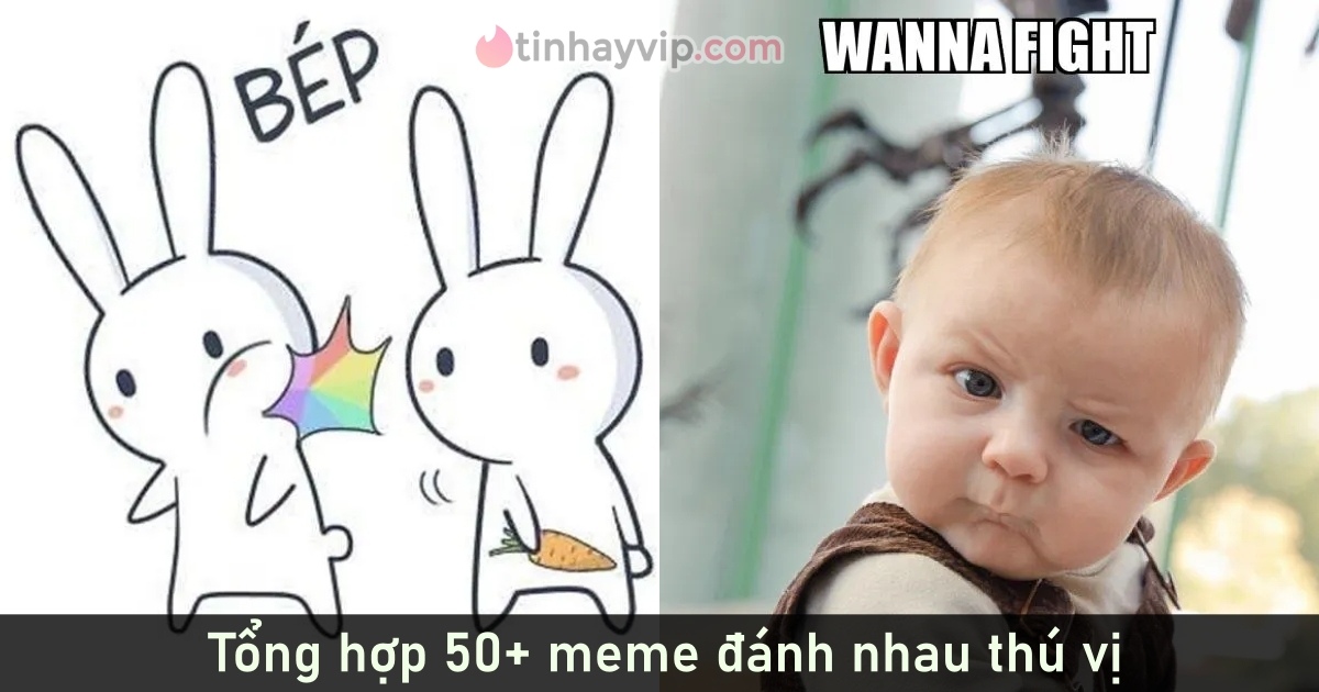 Tổng hợp 50+ meme đánh nhau cực kỳ dễ thương và thú vị để trêu bạn bè