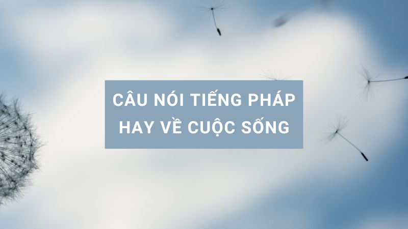 Tổng hợp 999+ caption tiếng Pháp ngắn, hay và ý nghĩa