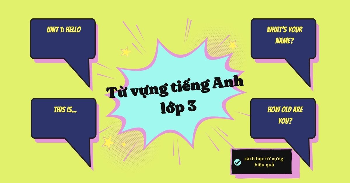 Tổng hợp FULL bộ từ vựng tiếng Anh lớp 3 học kì 1 mới nhất