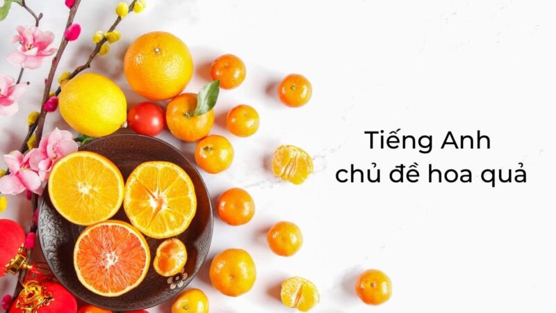 Tổng hợp FULL từ vựng tiếng Anh trẻ em chủ đề hoa quả