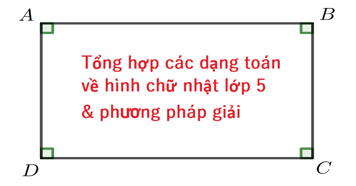 Tổng hợp các dạng toán về hình chữ nhật lớp 5 từ cơ bản đến nâng cao