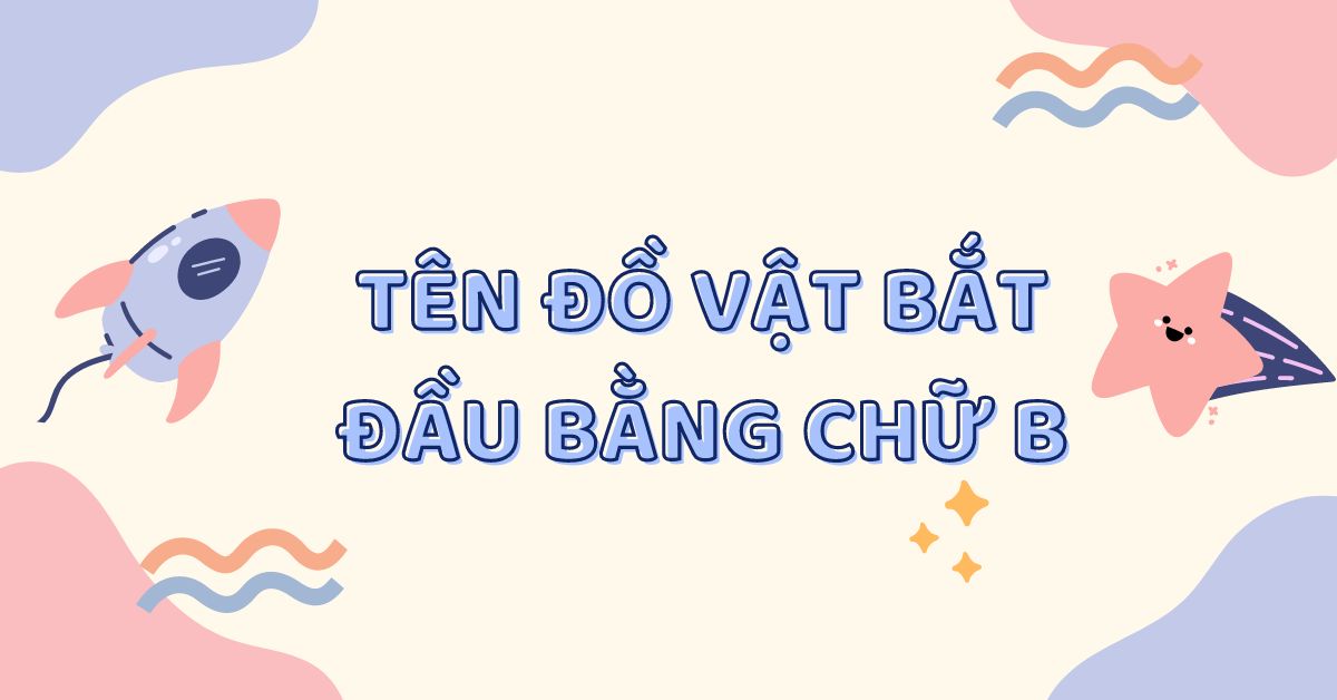 Tổng hợp những đồ vật bắt đầu bằng chữ b (kèm tên con vật, thực vật)