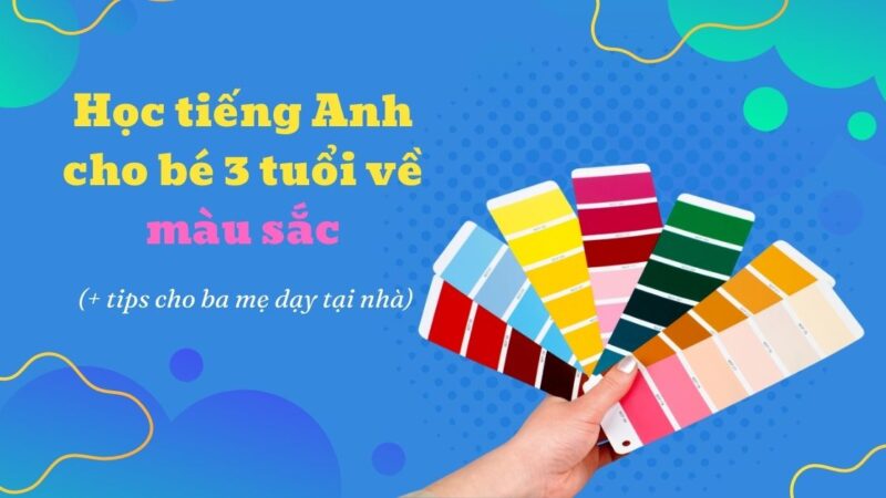 Top 3 Phương pháp học tiếng Anh cho bé 3 tuổi màu sắc hay nhất