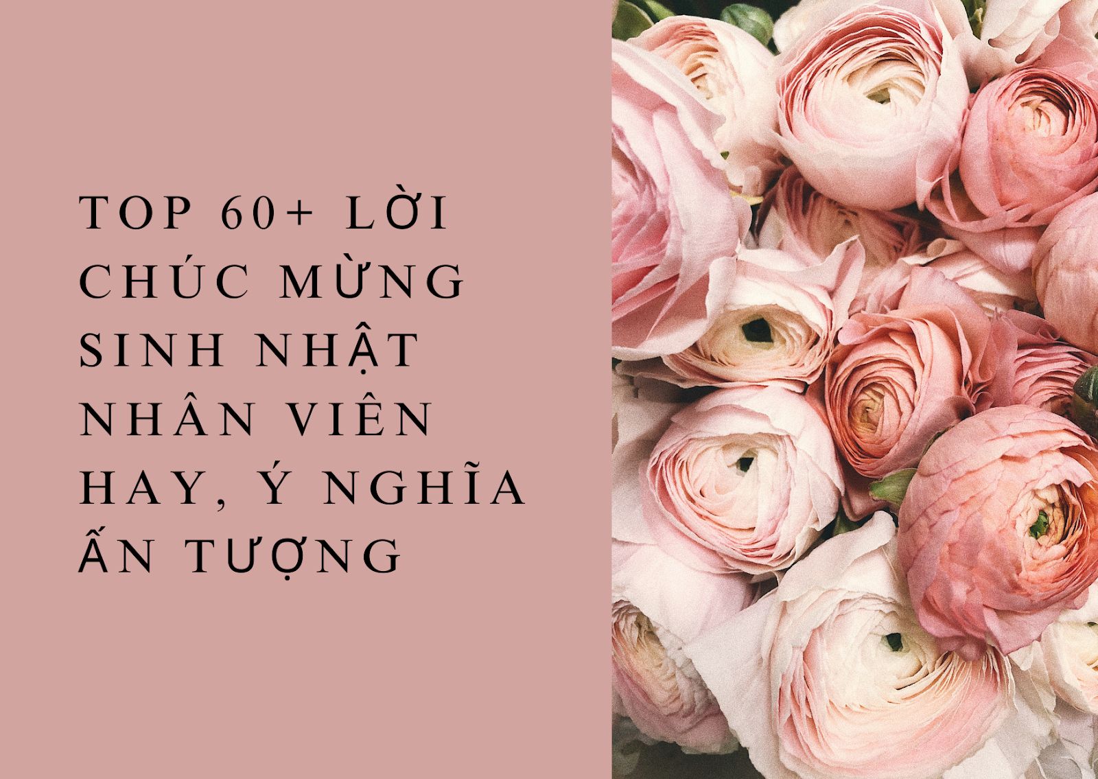 Top 60+ lời chúc mừng sinh nhật nhân viên hay, ý nghĩa ấn tượng