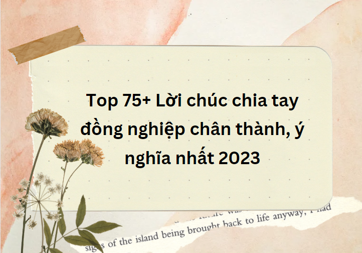 Top 75+ Lời Chúc Chia Tay Đồng Nghiệp Chân Thành, Ý Nghĩa