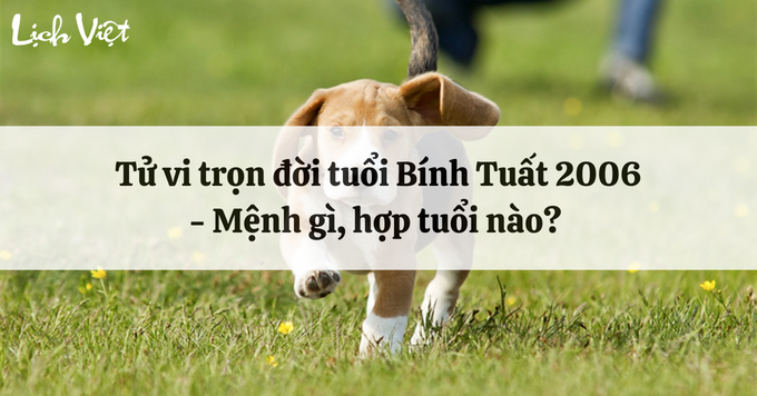 Tử vi trọn đời tuổi Bính Tuất 2006 – Mệnh gì và tuổi nào hợp với tuổi này?