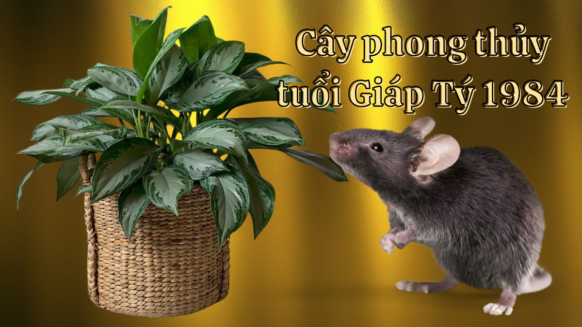 Tuổi Giáp Tý 1984 hợp cây gì? Cây phong thủy Giáp Tý