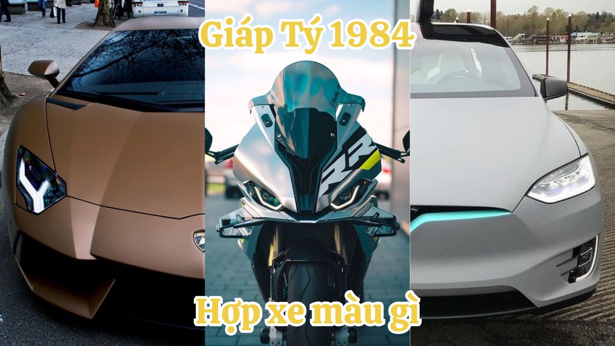 Tuổi Giáp Tý 1984 hợp xe màu gì? Màu xe phong thủy dành cho người tuổi Giáp Tý