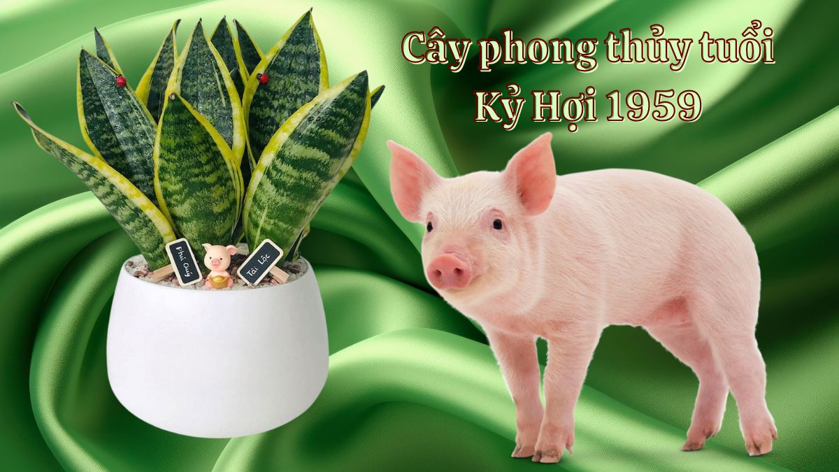 Tuổi Kỷ Hợi 1959 hợp cây gì? Nam, nữ kiêng trồng cây gì?