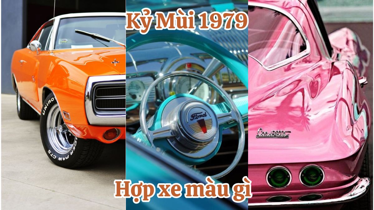 Tuổi Kỷ Mùi 1979 hợp xe màu gì? Tương khắc xe màu gì?