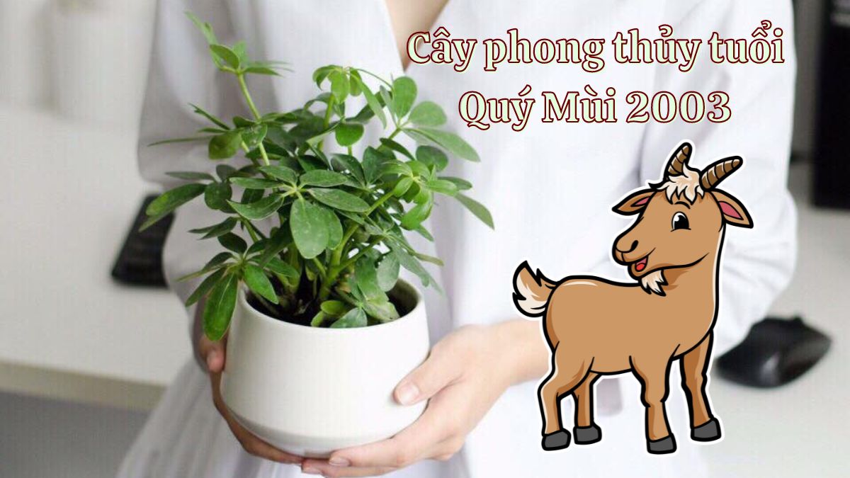 Tuổi Quý Mùi 2003 hợp cây gì? Nam, nữ kiêng trồng cây gì?