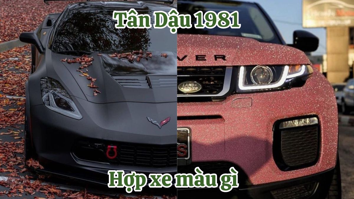 Tuổi Tân Dậu 1981 hợp xe màu gì? Tương khắc màu gì?