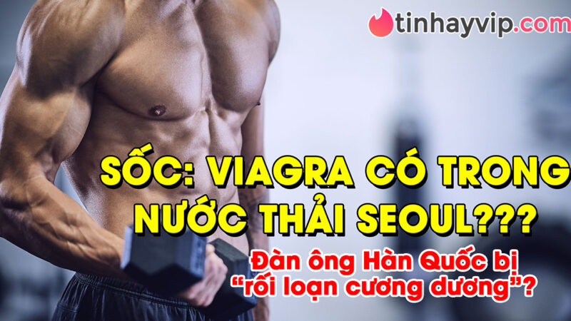 Viagra trong nước thải Seoul: Đàn ông Hàn bị rối loạn cương dương