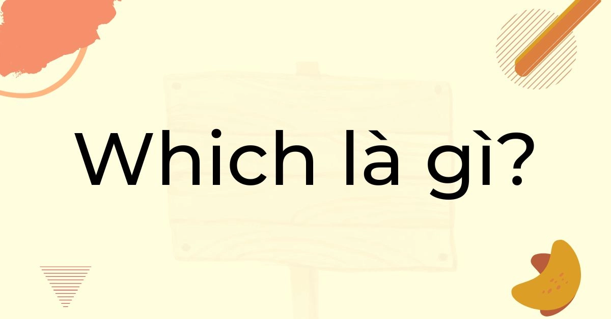 What is the meaning of Which? Compilation of detailed usage and practical exercises with Which