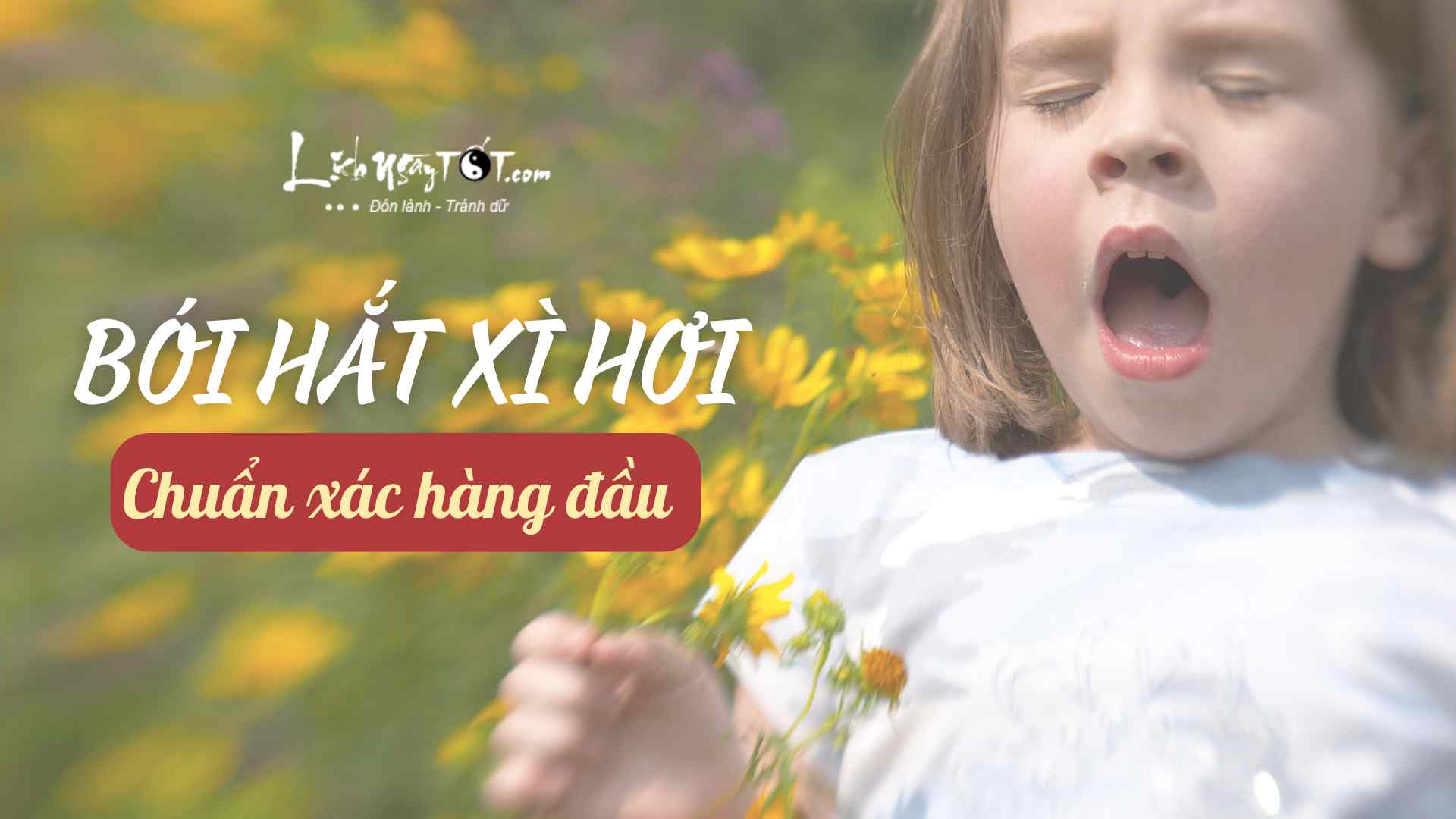 Xem BÓI HẮT XÌ HƠI theo giờ để dự đoán chính xác điều gì sắp xảy đến, có hiệu quả thực tế cao